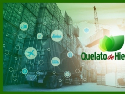 ¿Por qué comprar Quelato de Hierro en quelatodehierro.com?