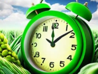 ¿Cuánto tiempo tarda en hacer efecto el quelato de hierro?